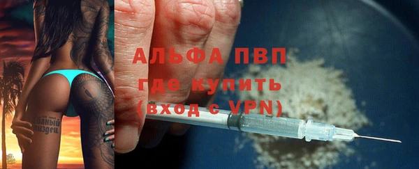 гидра Надым