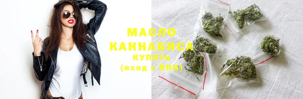 гидра Надым