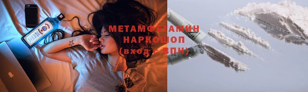гидра Надым