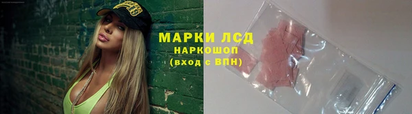гидра Надым