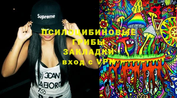 гидра Надым