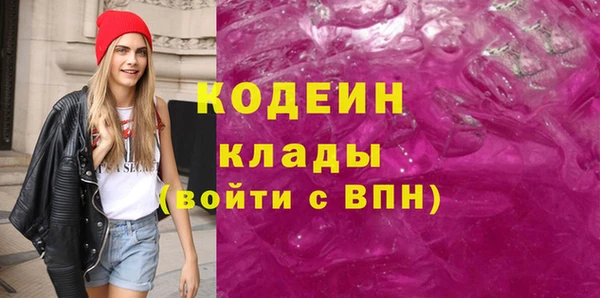 гидра Надым