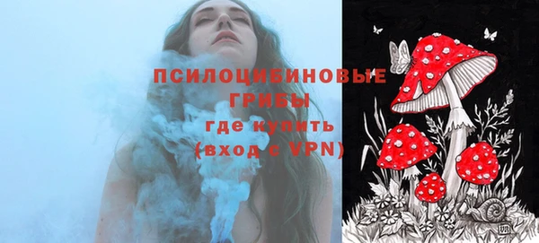 амф Михайловка