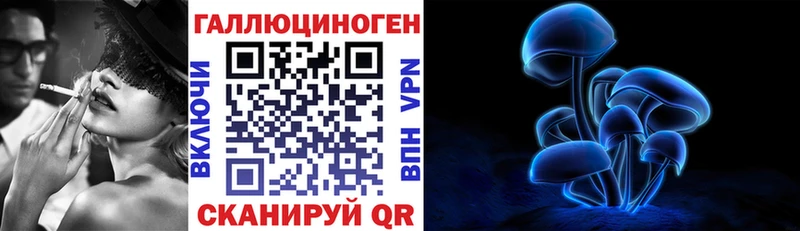 Псилоцибиновые грибы Psilocybe  площадка как зайти  Ленинск 